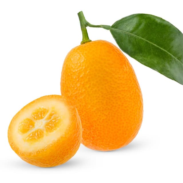 Kumquat