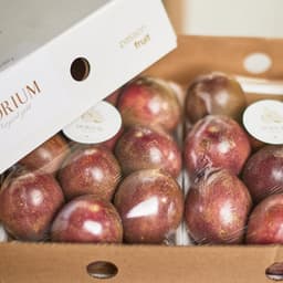 Fructul Pasiunii 3