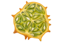 Fructe Exotice