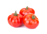 Legume